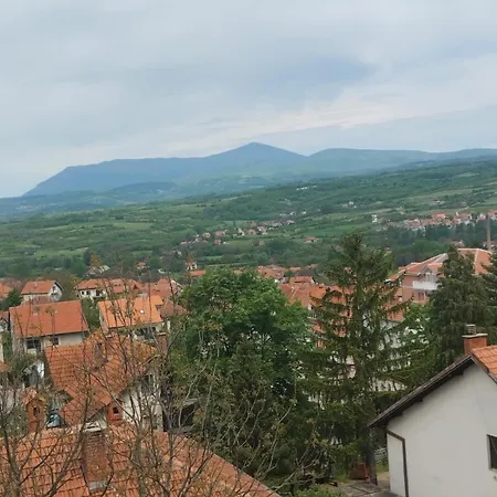 Apartman Milijiclux Sokobanja