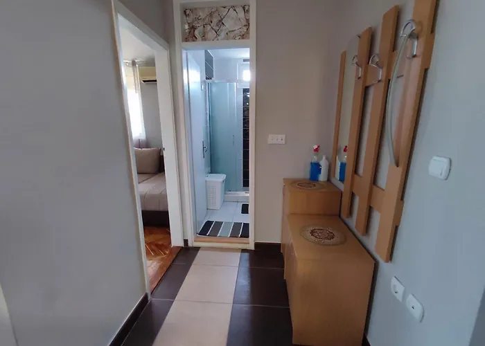 Milijiclux Soko Banja