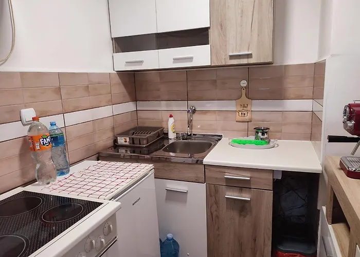 Milijiclux Apartman Sokobanja