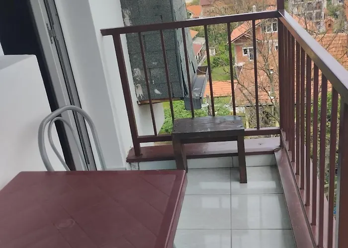 Apartman Milijiclux Sokobanja